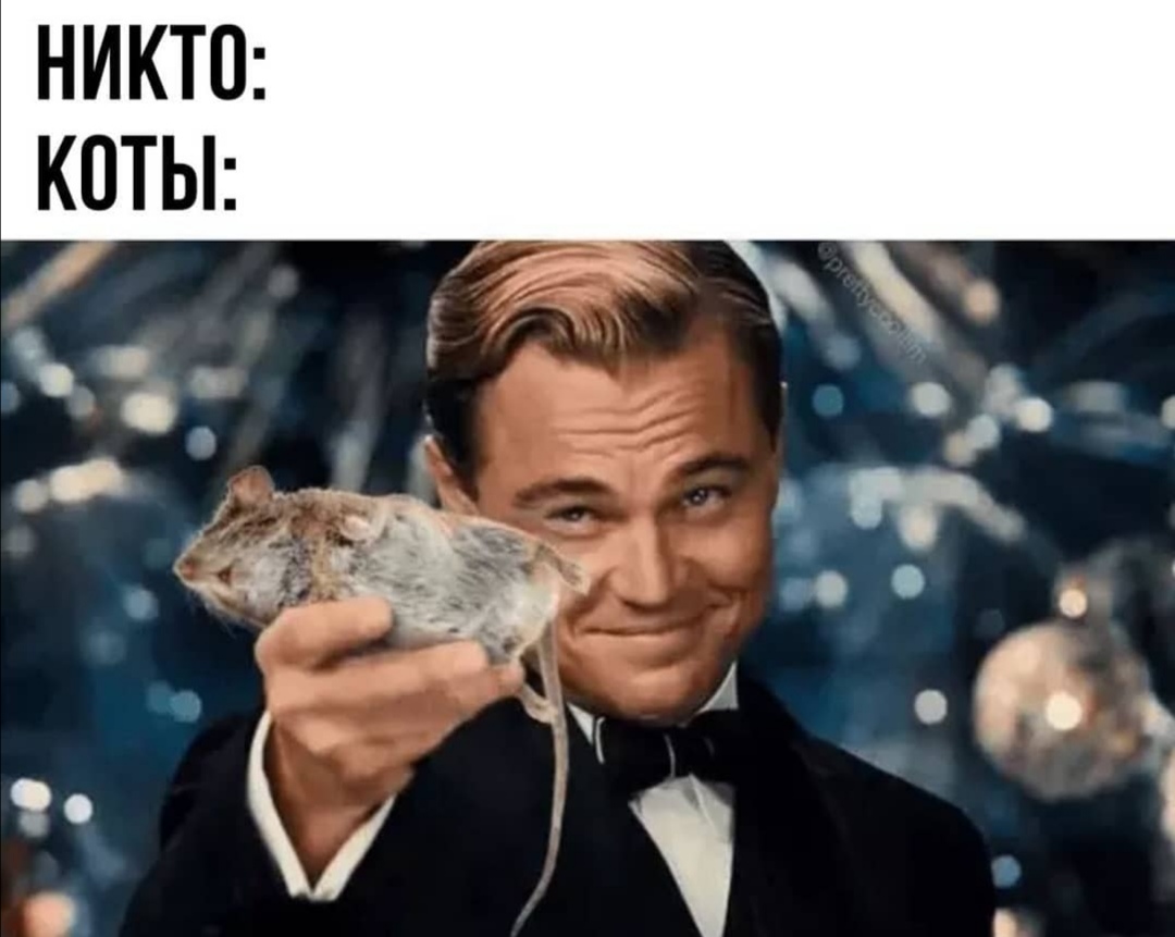 https://forum4.ru/uploads/0019/c7/e0/89/619694.jpg