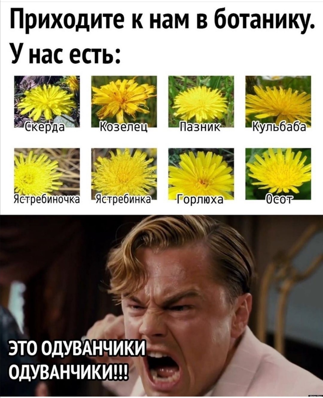https://forum4.ru/uploads/0019/c7/e0/89/628610.jpg