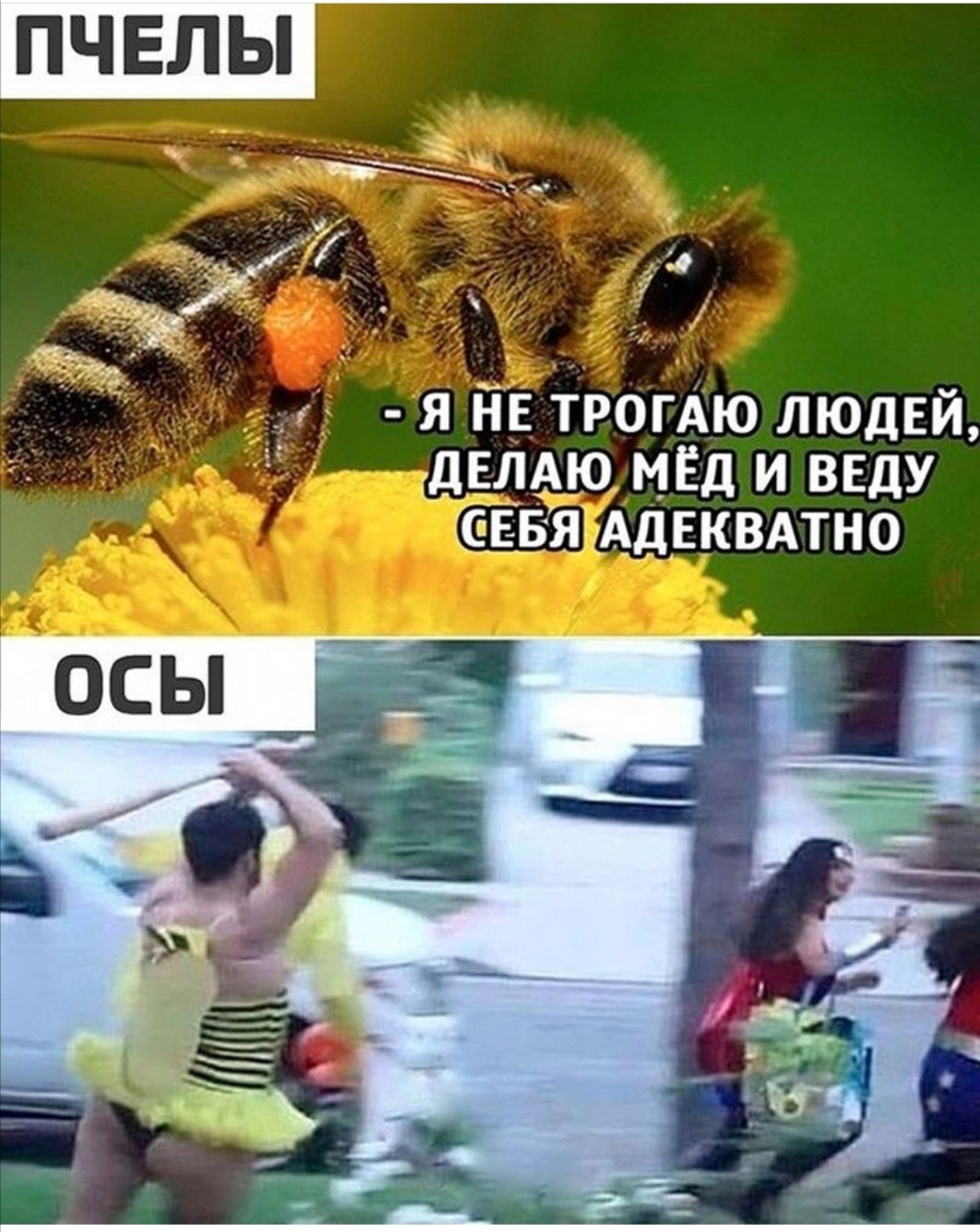 https://forum4.ru/uploads/0019/c7/e0/89/873584.jpg