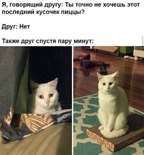 https://forum4.ru/uploads/0019/c7/e0/89/888841.jpg