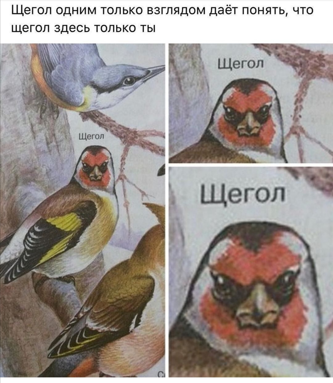 https://forum4.ru/uploads/0019/c7/e0/89/939065.jpg