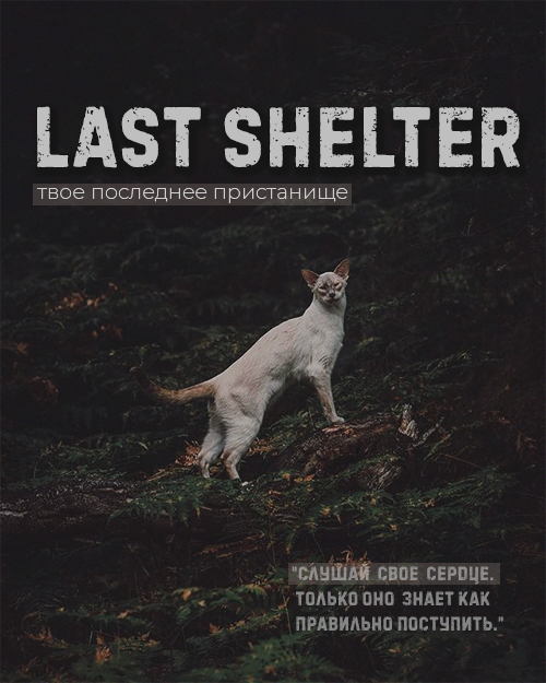 https://forum4.ru/uploads/0019/c8/05/3/119280.png