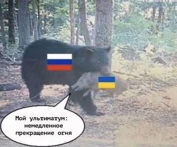 https://forum4.ru/uploads/0019/d2/d8/183/t458530.jpg