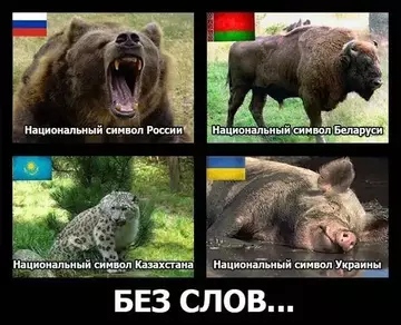 https://forum4.ru/uploads/0019/d2/d8/27/t520464.webp