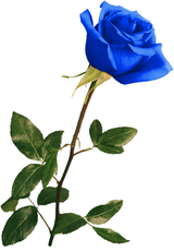 https://forum4.ru/uploads/0019/f3/f4/538/t257272.png