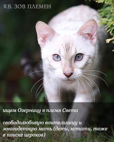 https://forum4.ru/uploads/001a/0f/73/2/269138.png