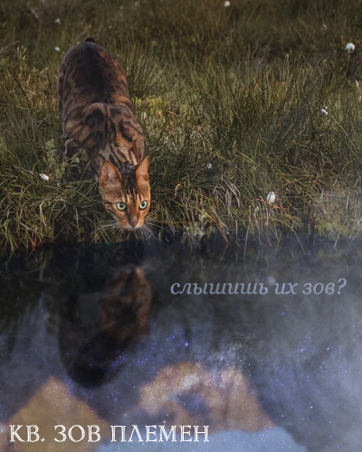 https://forum4.ru/uploads/001a/0f/73/2/67105.png