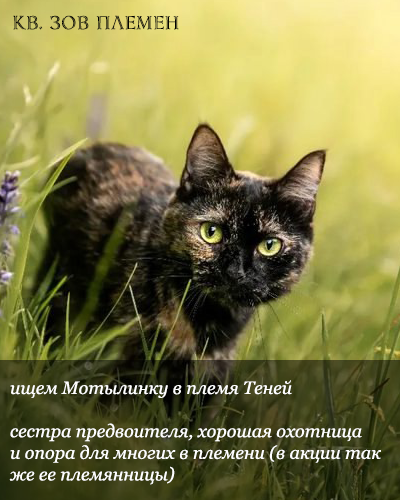 https://forum4.ru/uploads/001a/0f/73/2/857053.png