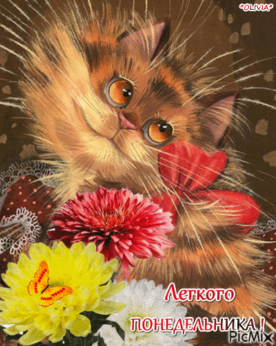 https://forum4.ru/uploads/001a/b7/49/110/915087.gif