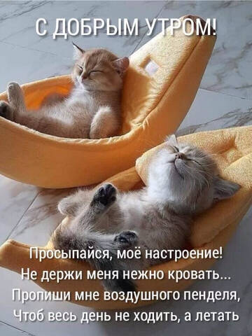https://forum4.ru/uploads/001a/b7/49/19/t348699.jpg