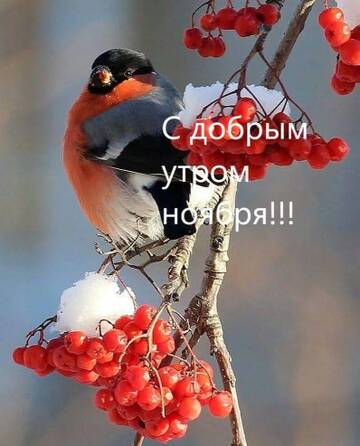 https://forum4.ru/uploads/001a/b7/49/292/t322554.jpg