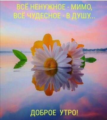 https://forum4.ru/uploads/001a/b7/49/7/t703522.jpg