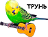 https://forum4.ru/uploads/001a/b7/b5/5/357258.png