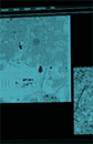 https://forum4.ru/uploads/001a/d5/c4/4/t876095.gif