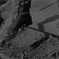 https://forum4.ru/uploads/001a/ec/01/2/962096.gif
