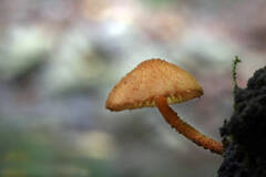 https://forum4.ru/uploads/001a/f0/7d/362/t110616.jpg
