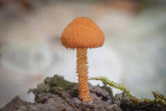 https://forum4.ru/uploads/001a/f0/7d/362/t147508.jpg