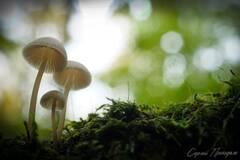 https://forum4.ru/uploads/001a/f0/7d/362/t647095.jpg