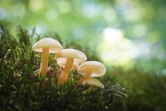 https://forum4.ru/uploads/001a/f0/7d/362/t805191.jpg