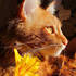 https://forum4.ru/uploads/001a/f4/24/616/123423.png