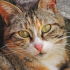 https://forum4.ru/uploads/001a/f4/24/616/541258.png