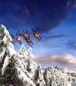 https://forum4.ru/uploads/001a/fe/3a/2/451061.gif