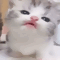 https://forum4.ru/uploads/001b/0f/31/2/356021.gif