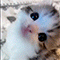 https://forum4.ru/uploads/001b/0f/31/2/390445.gif