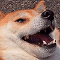 https://forum4.ru/uploads/001b/0f/31/2/578555.gif