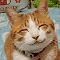 https://forum4.ru/uploads/001b/0f/31/2/923225.gif