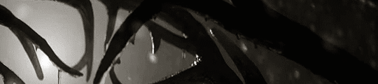 https://forum4.ru/uploads/001b/19/fa/2/814706.gif