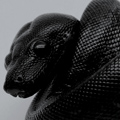https://forum4.ru/uploads/001b/2f/0f/492/573173.jpg