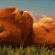 https://forum4.ru/uploads/001b/3c/87/6/296465.gif