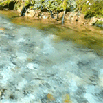 https://forum4.ru/uploads/001b/45/b2/2/800291.gif