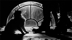 https://forum4.ru/uploads/001b/57/cc/2/245958.gif