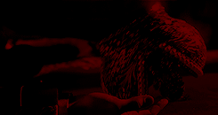 https://forum4.ru/uploads/001b/67/7a/20/364186.gif