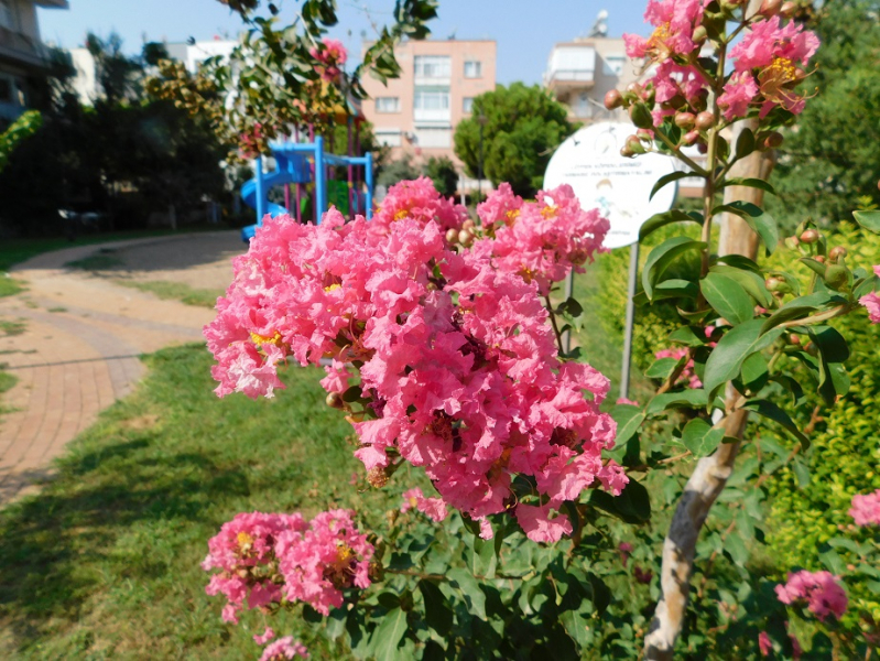 https://forum4.ru/uploads/001b/8e/7e/3/589306.jpg