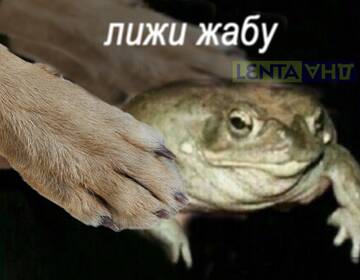https://forum4.ru/uploads/001b/92/d8/385/t940633.jpg