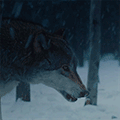 https://forum4.ru/uploads/001b/a1/c4/8/174790.gif