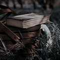 https://forum4.ru/uploads/001b/a1/c4/8/843554.jpg