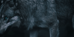 https://forum4.ru/uploads/001b/a1/c4/8/t118318.gif