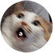 https://forum4.ru/uploads/001b/c6/2d/10/348657.png