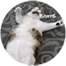 https://forum4.ru/uploads/001b/c6/2d/10/564075.png