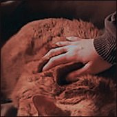 https://forum4.ru/uploads/001b/e9/9b/3/445105.png