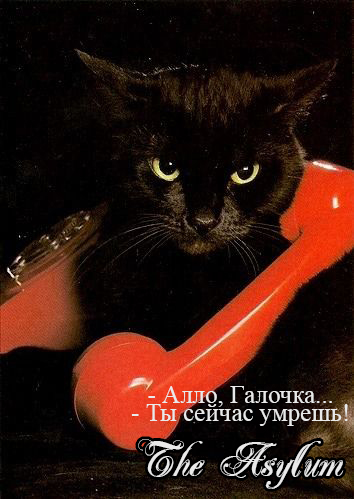 https://forum4.ru/uploads/001b/ff/1c/2/121212.jpg