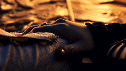 https://forum4.ru/uploads/001c/08/62/154/91713.gif