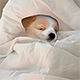 https://forum4.ru/uploads/001c/14/53/3/552452.png