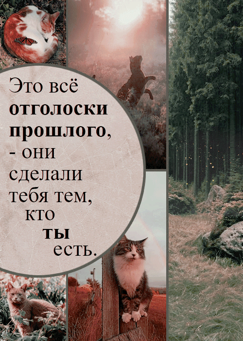 https://forum4.ru/uploads/001c/34/47/3/915013.gif