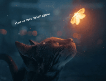 https://forum4.ru/uploads/001c/3a/b4/3/t696589.gif