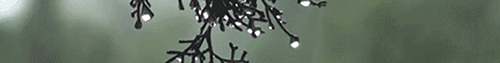 https://forum4.ru/uploads/001c/55/b9/2/670788.gif